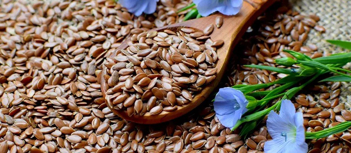 Flaxseed Linseed Alsi