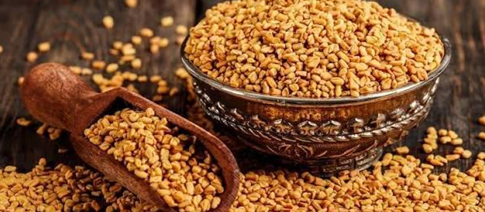 Methidana (Fenugreek Seeds)