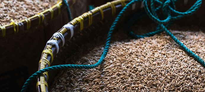 Cumin Seeds (Jeera)