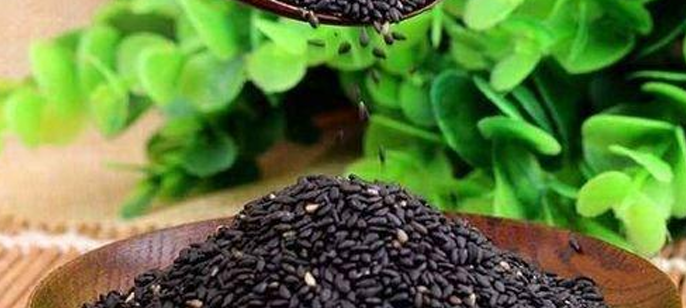 Sesame Seeds Til